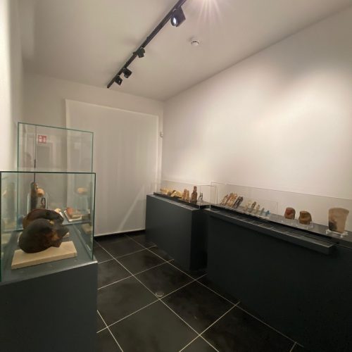 sala collezione egittologica museo Calderini